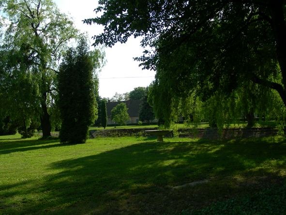 Zewnętrzny teren zielony z drzewami, trawnikiem i niskimi murkami, prawdopodobnie należący do kompleksu budynków.