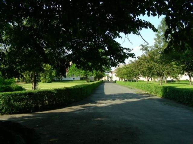 Długa aleja prowadząca do kompleksu budynków, otoczona równo przyciętym żywopłotem i drzewami, widziana z perspektywy cienia drzew.