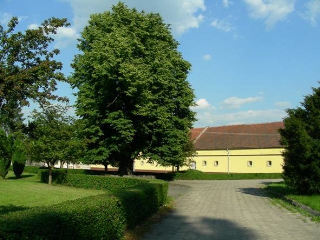 Żółty budynek magazynowy z czerwonym dachem widziany z zewnątrz, otoczony zielenią trawników i drzew, z brukowaną drogą dojazdową.