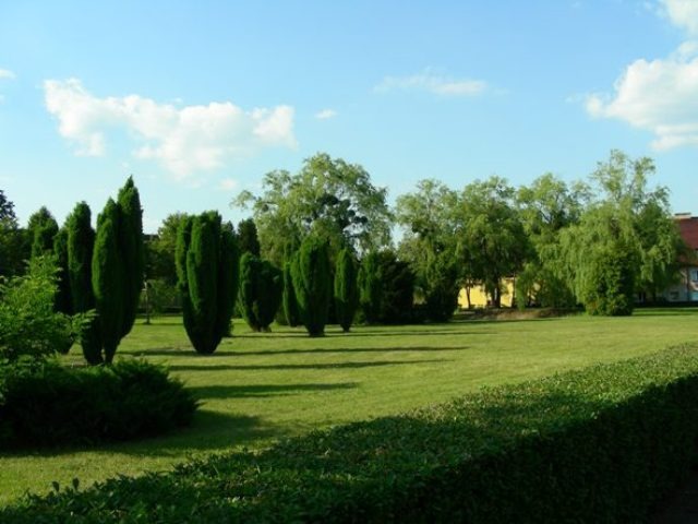 Zewnętrzny teren kompleksu budynków z równo przystrzyżonym trawnikiem, rzędami wysokich, smukłych drzew iglastych i różnorodną roślinnością, w tle widoczny budynek z czerwonym dachem.