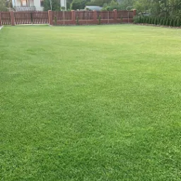 Rozległy, idealnie utrzymany trawnik przed domem z ceglanym ogrodzeniem i równo przyciętymi krzewami w tle, oświetlony popołudniowym słońcem.