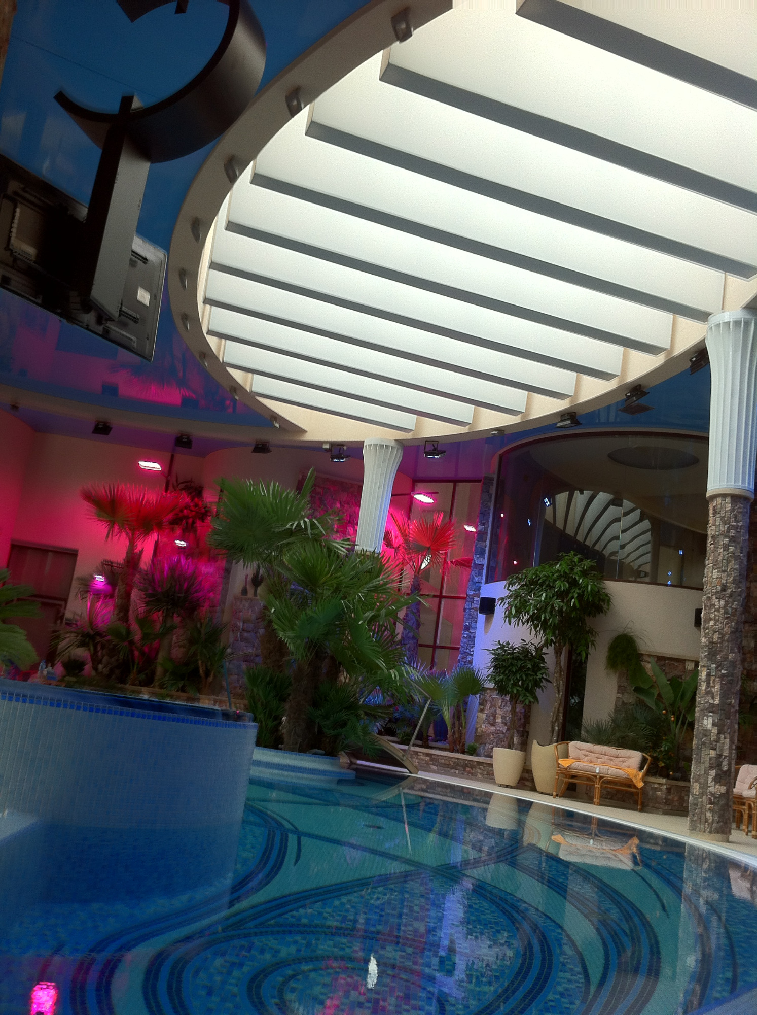 Wnętrze luksusowego basenu z oświetleniem RGB, roślinnością tropikalną i sufitem z podświetleniem w kształcie listew.