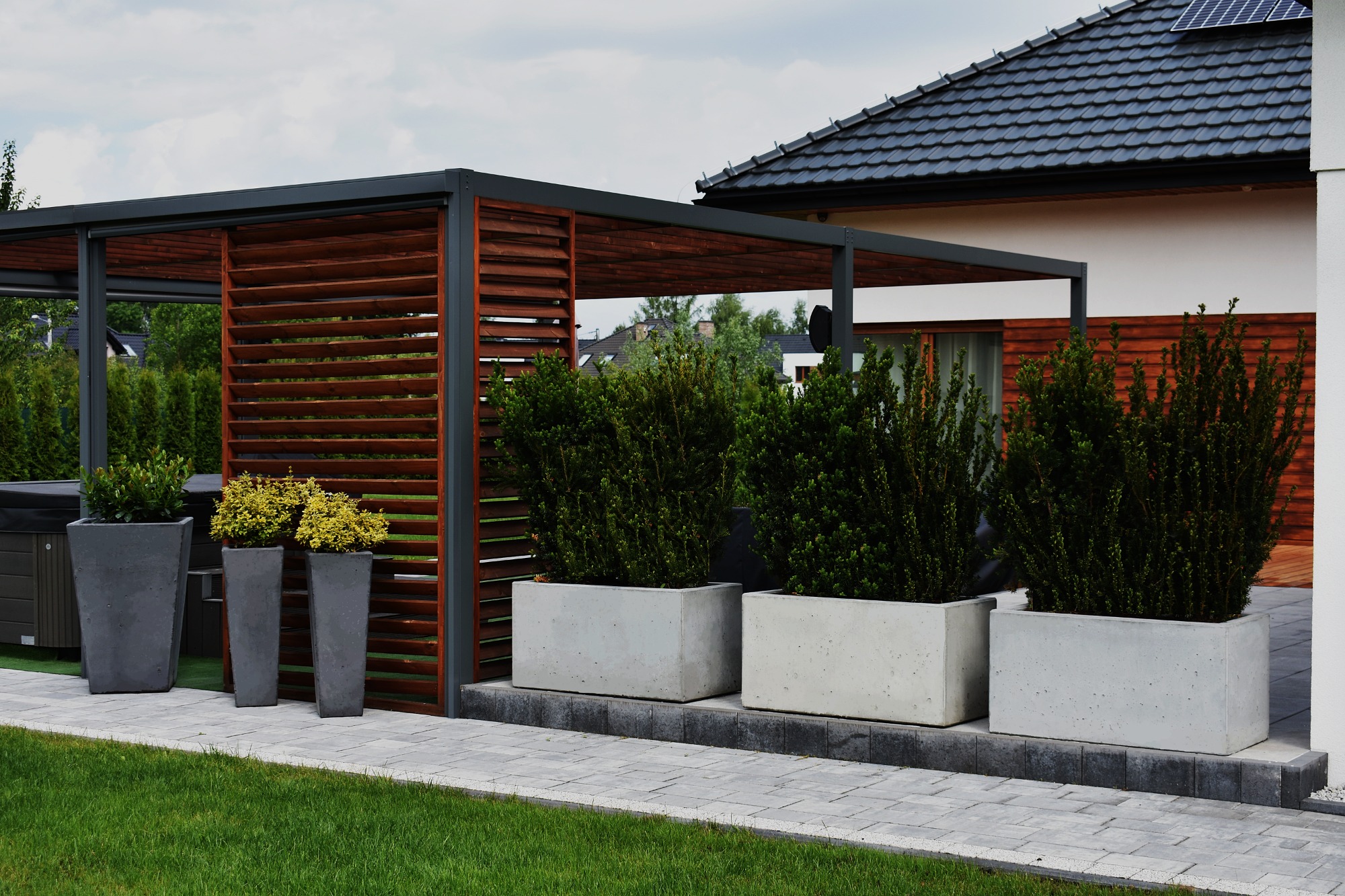 Nowoczesna aranżacja ogrodu z drewnianą pergolą, betonowymi donicami z bukszpanem i żółtymi krzewami, oraz ścieżką z kostki brukowej na tle domu z ciemnym dachem.