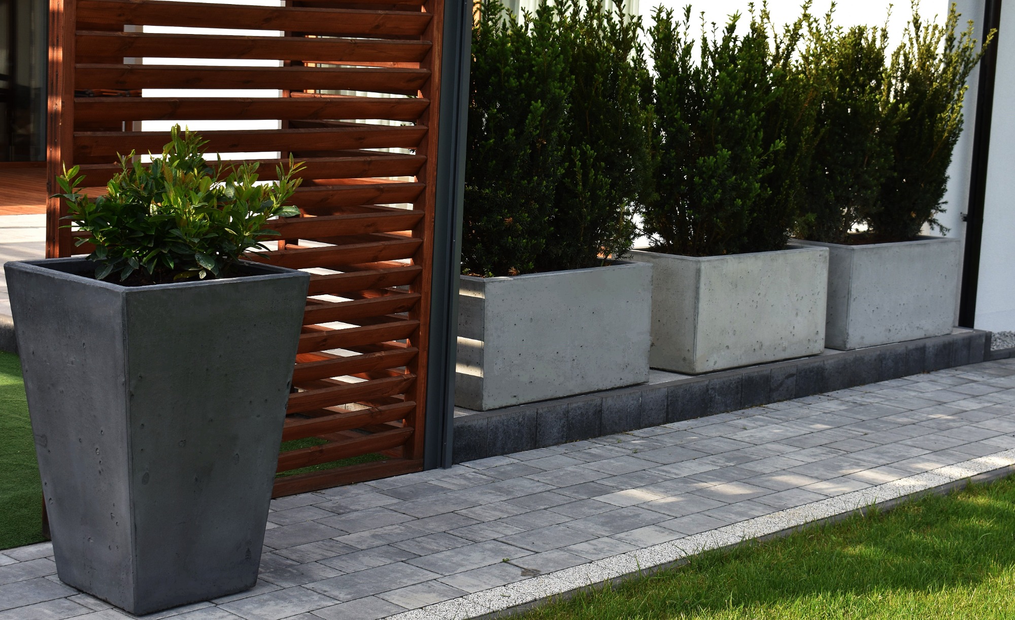 Aranżacja przestrzeni zewnętrznej: wysoka, ciemnoszara donica trapezoidalna z zieloną rośliną obok drewnianej ażurowej ścianki, w tle rząd betonowych donic kubicznych z zimozielonymi krzewami.
