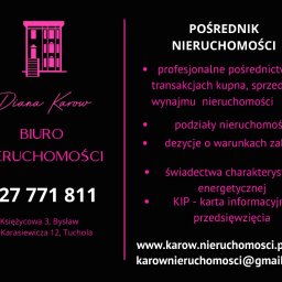 Pośrednik Nieruchomości DIANA KAROW - Dobra Adaptacja Projektu Tuchola