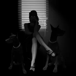 Czarno-białe zdjęcie kobiety w kapeluszu siedzącej w fotelu z dwoma dobermanami w obrożach, za nią żaluzje i smuga dymu.