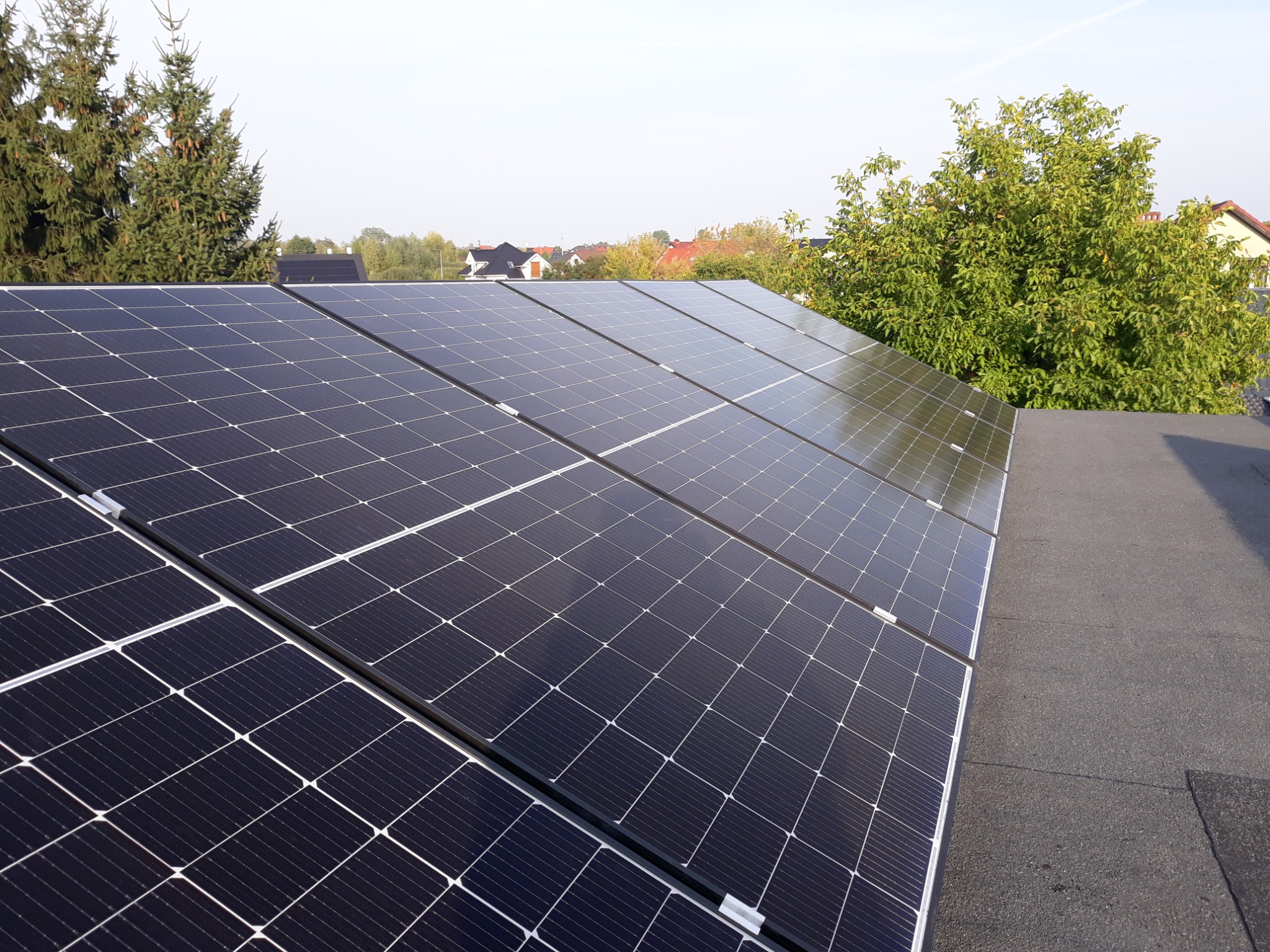 Rząd paneli słonecznych na płaskim dachu z widocznymi drzewami i zabudową jednorodzinną w tle, uchwycony w słoneczny dzień.
