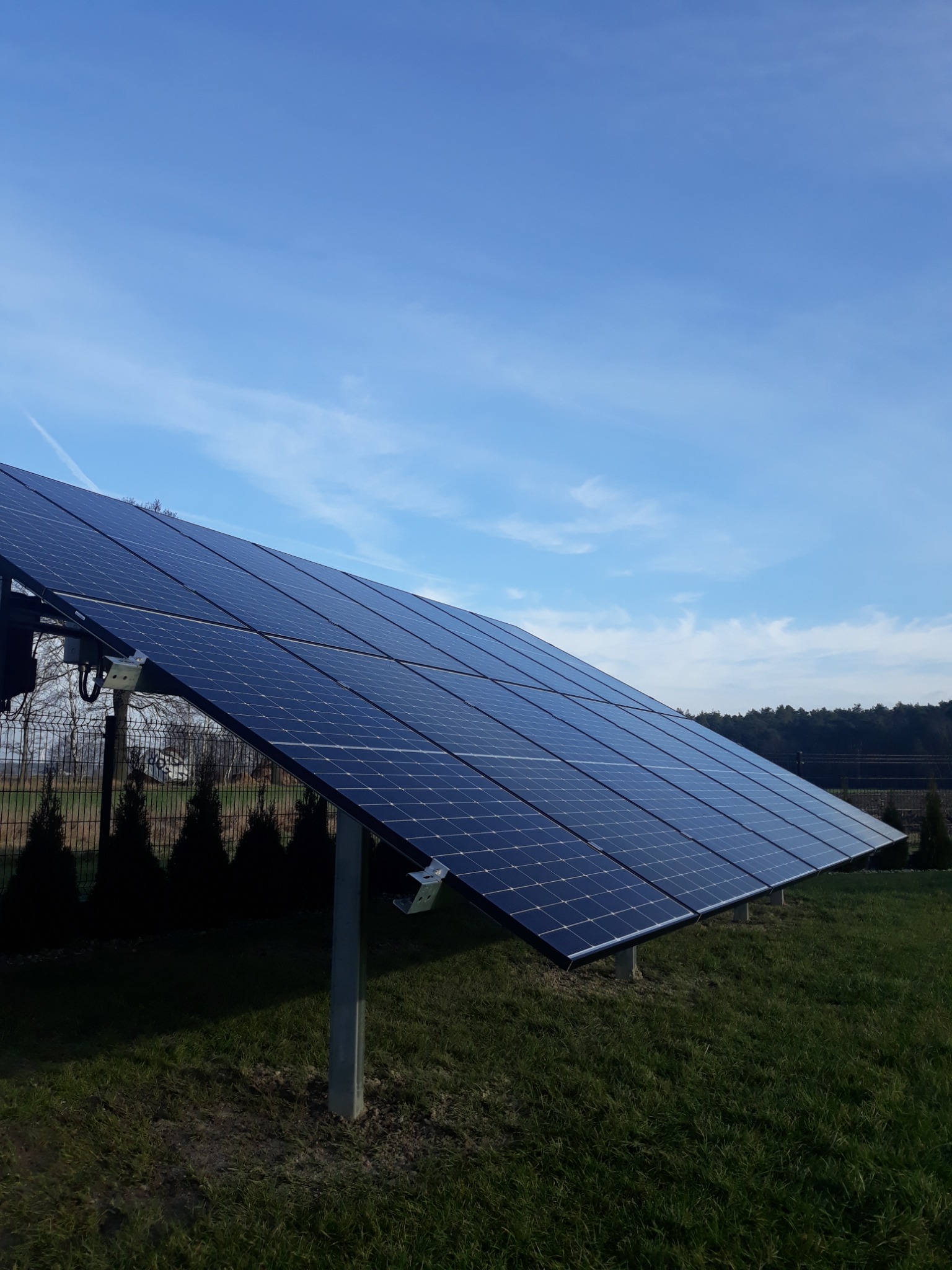 Panel fotowoltaiczny ustawiony na trawniku, z widocznym niebem i drzewami w tle. Ujęcie z dołu, podkreślające strukturę paneli.