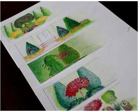 Szkic koncepcyjny ogrodu z różnymi wariantami nasadzeń, przedstawiony na białym arkuszu papieru pod kątem.