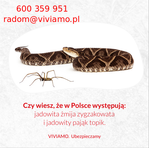 Grafika informacyjna z żmiją zygzakowatą, pająkiem topikiem, numerem telefonu i adresem email firmy ubezpieczeniowej VIVIAMO.