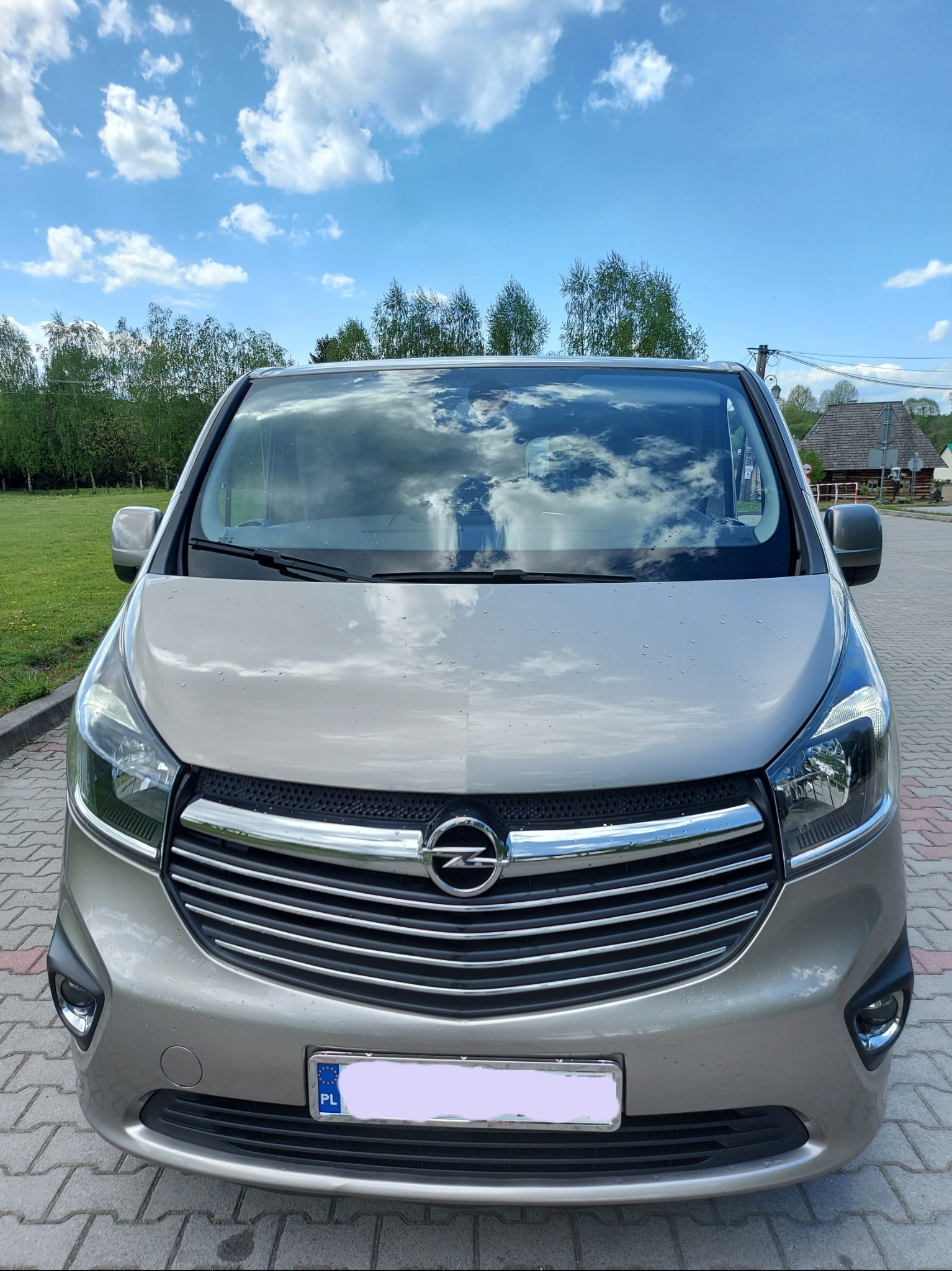 Przód beżowego Opla Vivaro z tablicą rejestracyjną na brukowanym podłożu, odbicie chmur na szybie, drzewa w tle. Auto osobowe.