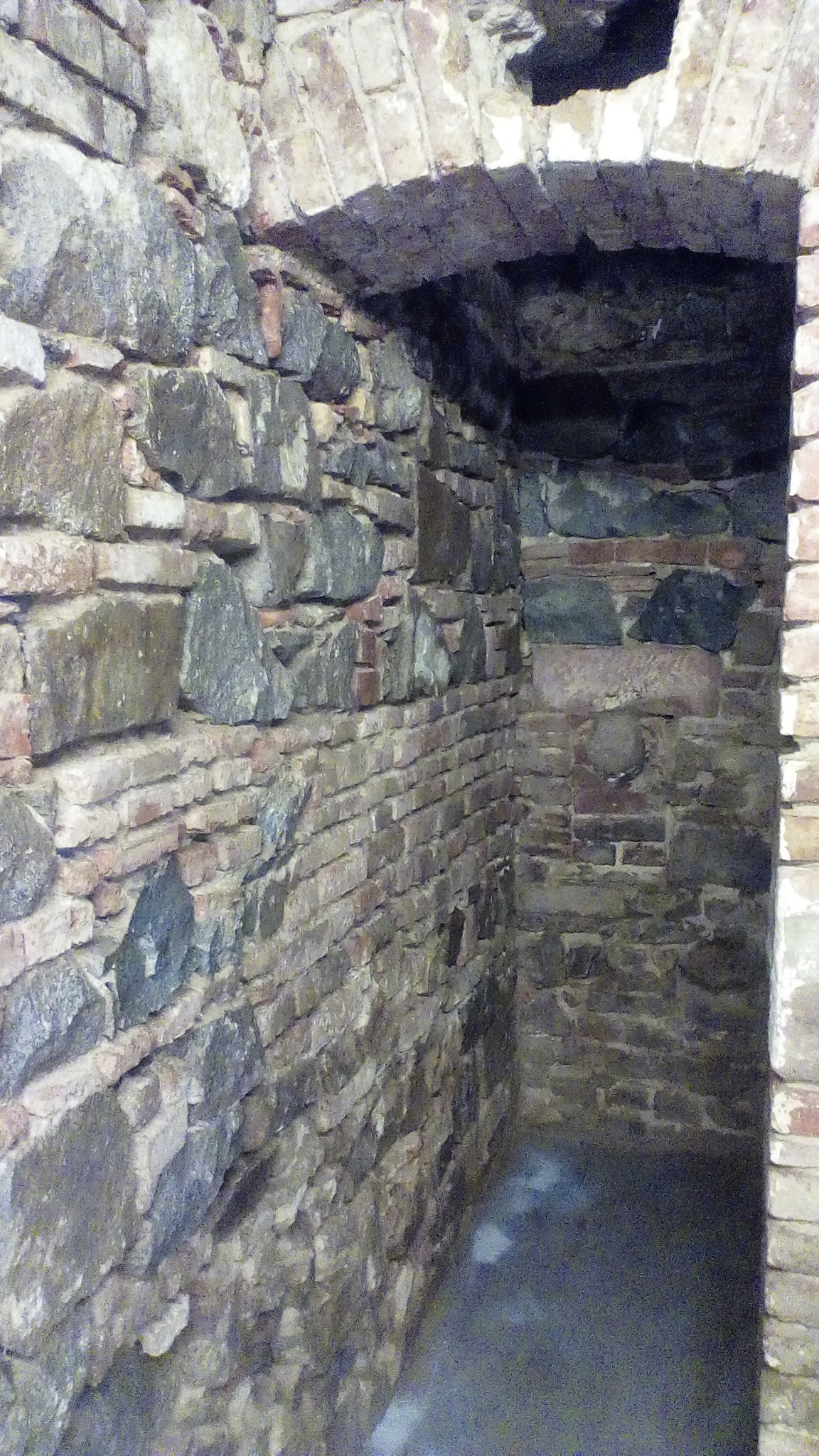 Surowe, kamienno-ceglane wnętrze piwnicy z łukowym przejściem, ukazujące fakturę starych materiałów i mroczny klimat. Widoczna nieregularność ułożenia kamieni.