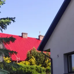 Fragment domu z jaskrawoczerwonym dachem blaszanym, widoczny spod gałęzi drzewa iglastego; obok szara ściana z numerem domu '5' i czarną rynną.