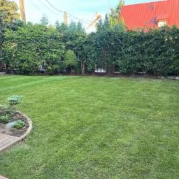 Starannie utrzymany trawnik z wyraźnymi pasami po koszeniu, otoczony żywopłotem z tuj, z widocznym fragmentem domu z czerwoną dachówką w tle i żurawiem budowlanym w oddali.