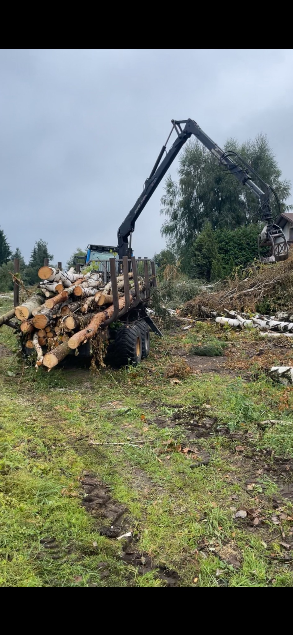 Leśny ciągnik z hydraulicznym ramieniem załadowuje ścięte pnie drzew na przyczepę w terenie z resztkami po wycince.