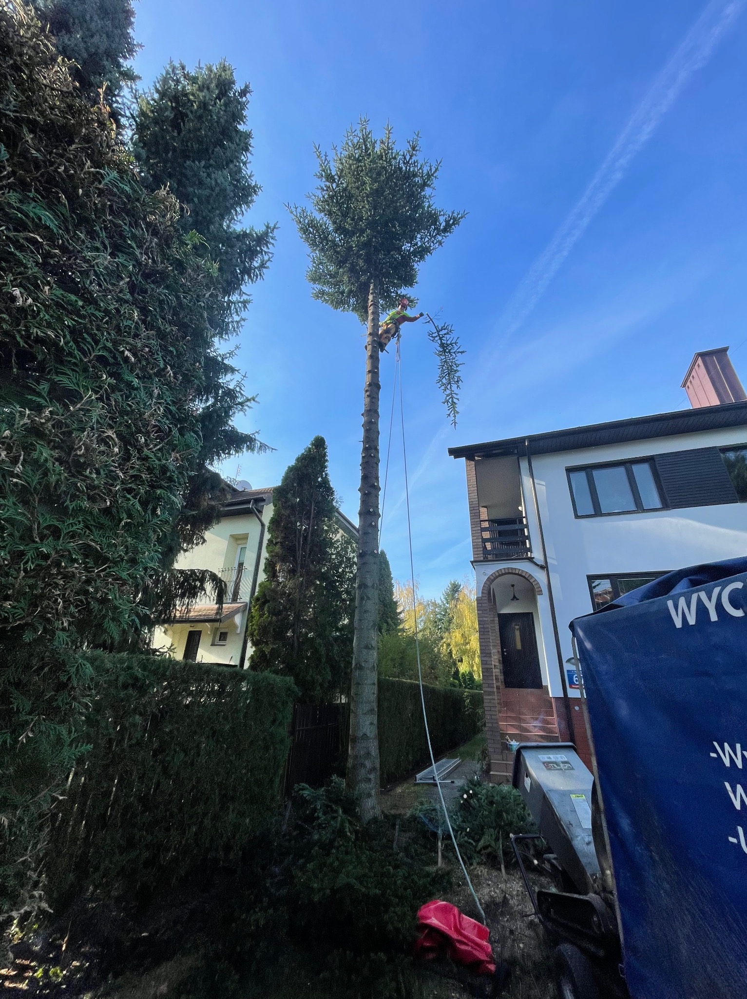 Arborysta na wysokiej sośnie w trakcie cięcia gałęzi, z widocznym sprzętem do wspinaczki, liną i rębakiem do gałęzi w tle, na tle błękitnego nieba i zabudowań.