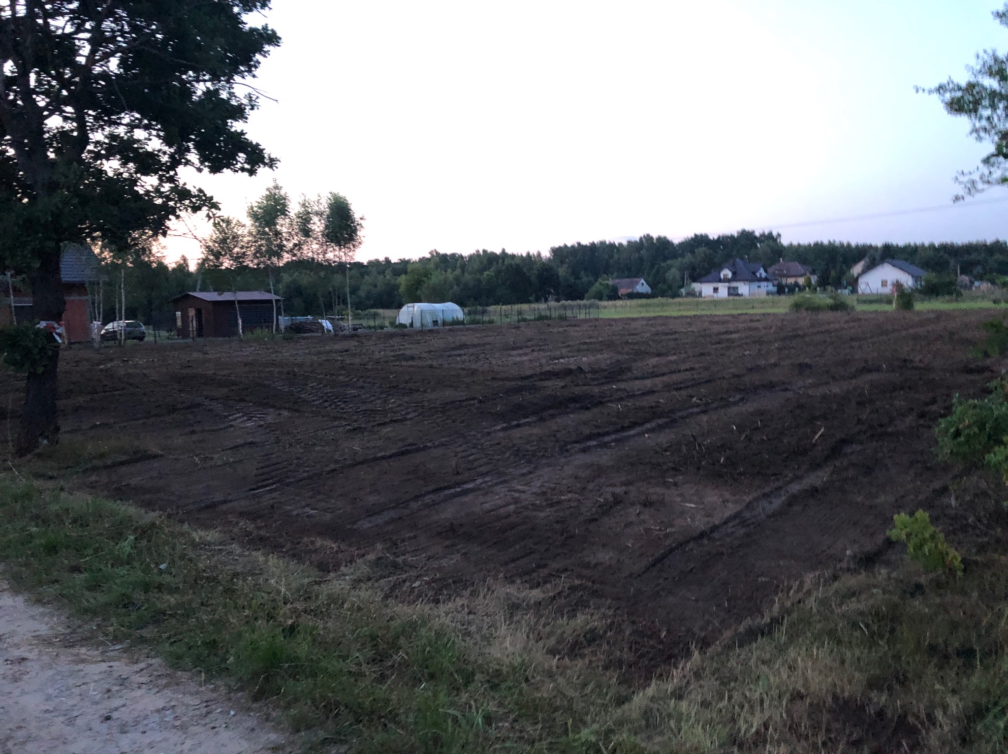 Zaorane pole w wiejskim krajobrazie, widoczne ślady opon, w tle zabudowania gospodarcze i domy mieszkalne pod wieczornym niebem.