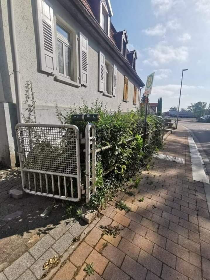 Metalowa furtka ogrodowa zarośnięta żywopłotem, widok na budynek z oknami z okiennicami i przystanek autobusowy w tle, kostka brukowa na pierwszym planie.