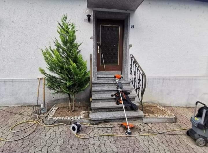 Przycięty iglak przy wejściu do domu, obok leżą narzędzia ogrodnicze: podkaszarka spalinowa i wąż zasilający myjkę ciśnieniową.