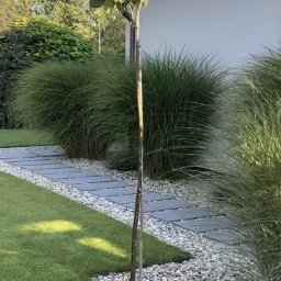 Projektowanie ogrodów Jazowsko 3