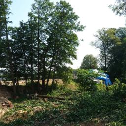 Pielęgnacja ogrodów Koszęcin 3