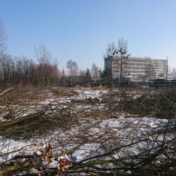 Zakład Usług Leśnych Krystian Karmański - Świeżo wykarczowany teren z pniakami i gałęziami pokrytymi śniegiem w zimowym słońcu, w tle budynek przemysłowy.