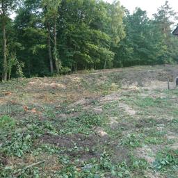 Pielęgnacja ogrodów Koszęcin 4