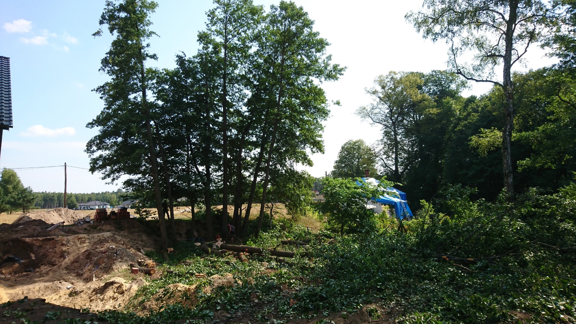 Teren po wycince drzew, widoczne pnie i gałęzie, w tle wykop ziemi i budynek z niebieskim dachem