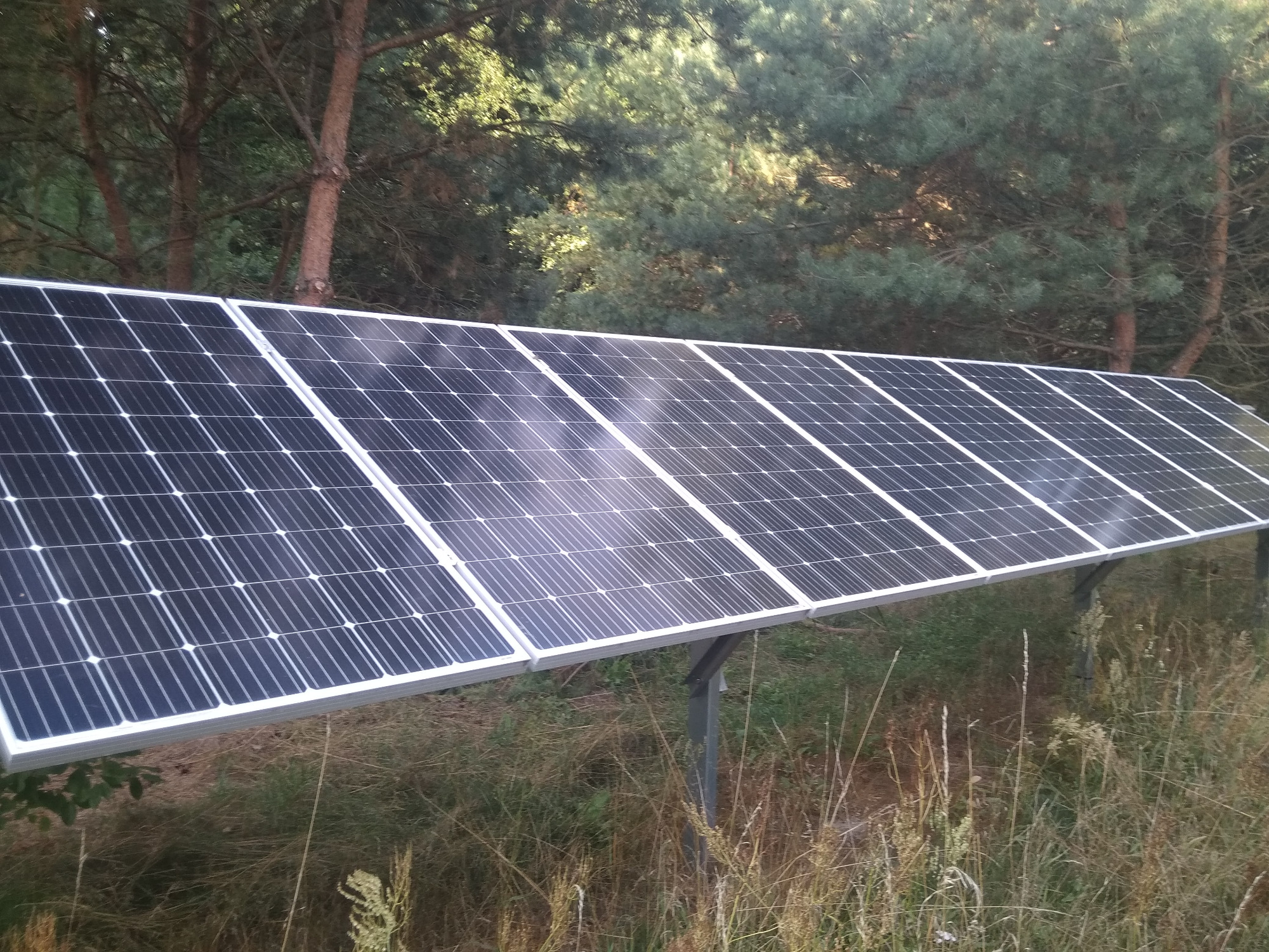 Rząd paneli słonecznych zamontowanych na metalowej konstrukcji, otoczony trawą i drzewami iglastymi w tle.