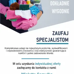 Grafika reklamowa usług sprzątania: osoba w r&oacute;żowych rękawicach trzymająca wiadro ze środkami czystości, gąbkami i ściereczkami, z hasłami 'Profesjonalnie, Dokładnie, Wygodnie' oraz 'Zaufaj...