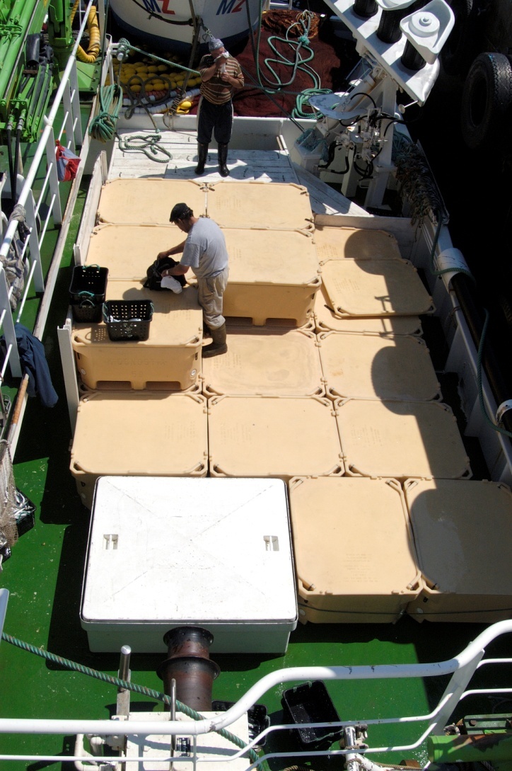 Wysoki kąt widzenia na pokładzie statku z rzędami izolowanych pojemników z tworzywa sztucznego, dwóch mężczyzn w oddali, jeden z nich przegląda zawartość torby.