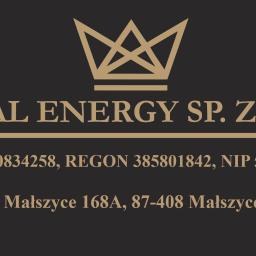 Royal Energy sp. z. o. o. - Rewelacyjna Wymiana Przyłącza Elektrycznego Golub-Dobrzyń