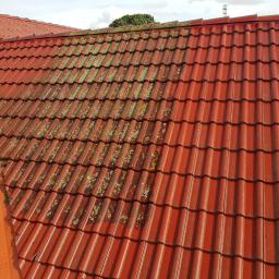 Mr.D Usługi Specjalistyczne - Czerwona dachówka ceramiczna, częściowo pokryta mchem i porostami, kontrastująca z czystą powierzchnią po prawej stronie, ukazująca efekt czyszczenia.