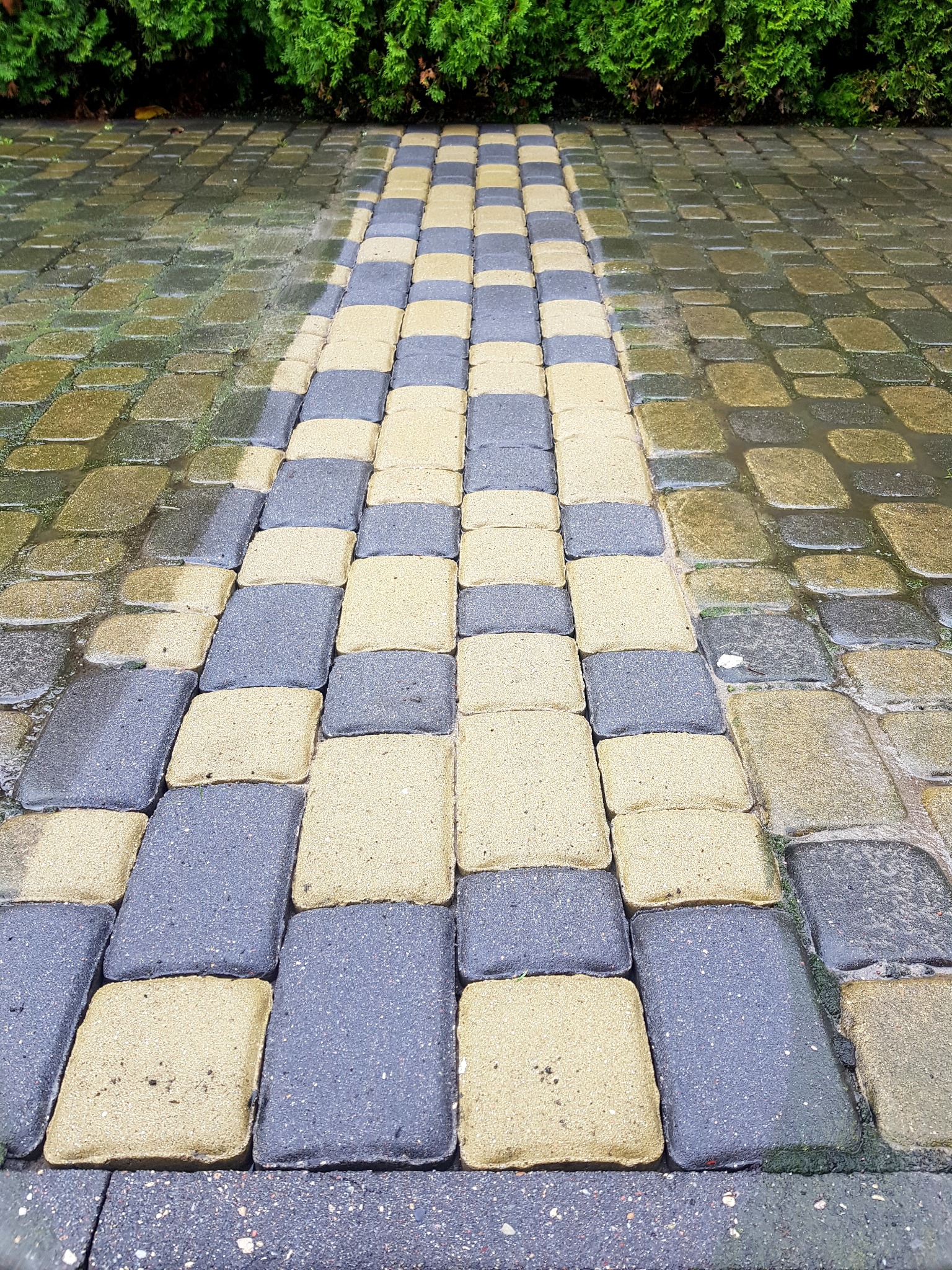Częściowo umyta kostka brukowa w Lipnie, ukazująca kontrast między czystą, jasną częścią a brudną, wilgotną powierzchnią, z zielonym żywopłotem w tle.