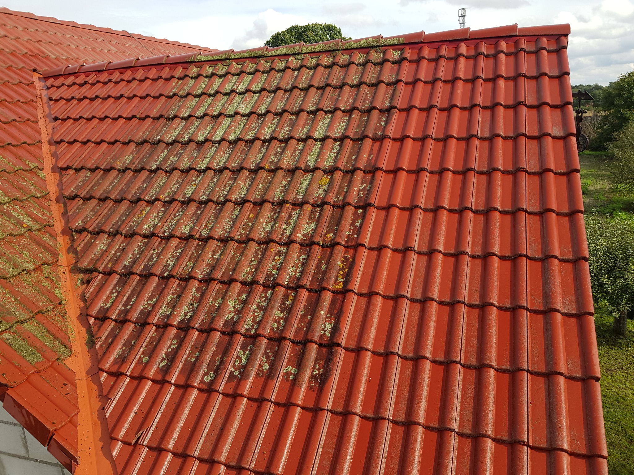 Czerwona dachówka ceramiczna, częściowo pokryta mchem i porostami, kontrastująca z czystą powierzchnią po prawej stronie, ukazująca efekt czyszczenia.