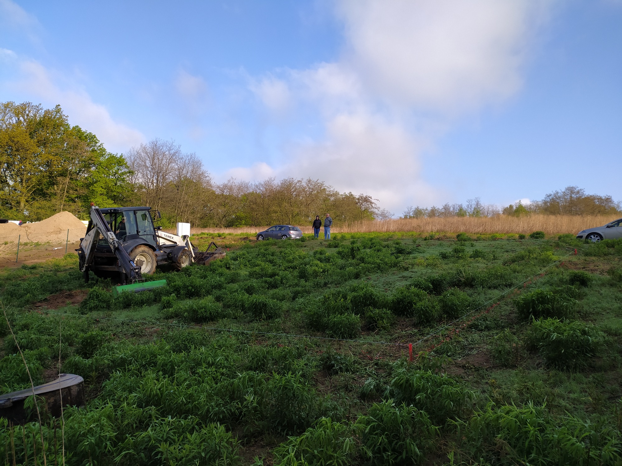 Teren zarośnięty zielenią, na którym stoi koparko-ładowarka Terex, w tle para osób i samochód osobowy, widoczne ślady prac ziemnych i wytyczony obszar.