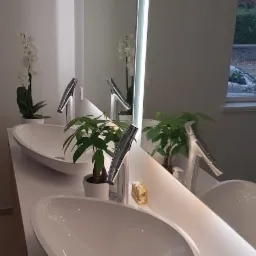 Nowoczesna łazienka z dwoma owalnymi umywalkami, chromowanymi bateriami i podświetlanymi lustrami, uzupełniona o rośliny doniczkowe i dekoracyjne mydło.