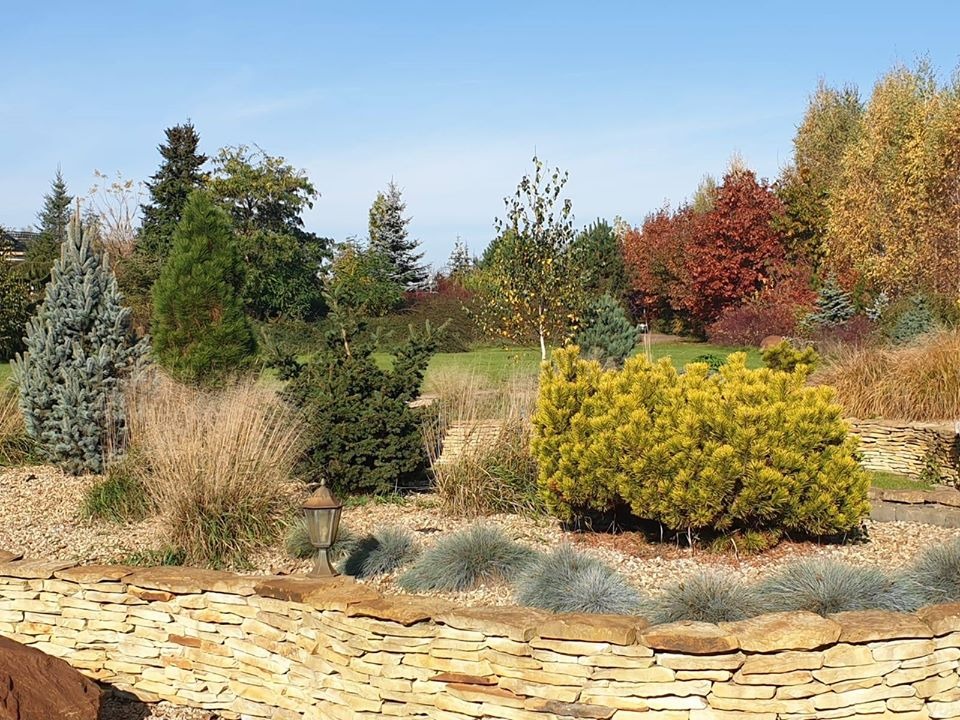 Urozmaicony ogród z kamienną rabatą, ozdobnymi trawami, karłowatymi iglakami i lampą ogrodową, w tle drzewa liściaste w jesiennych barwach.