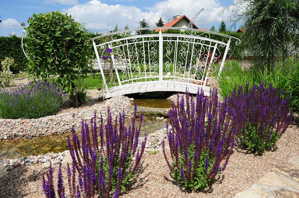 Ogród z małym strumykiem, białym ozdobnym mostkiem i fioletowymi kwiatami szałwii; w tle zielony trawnik i dom z czerwonym dachem.