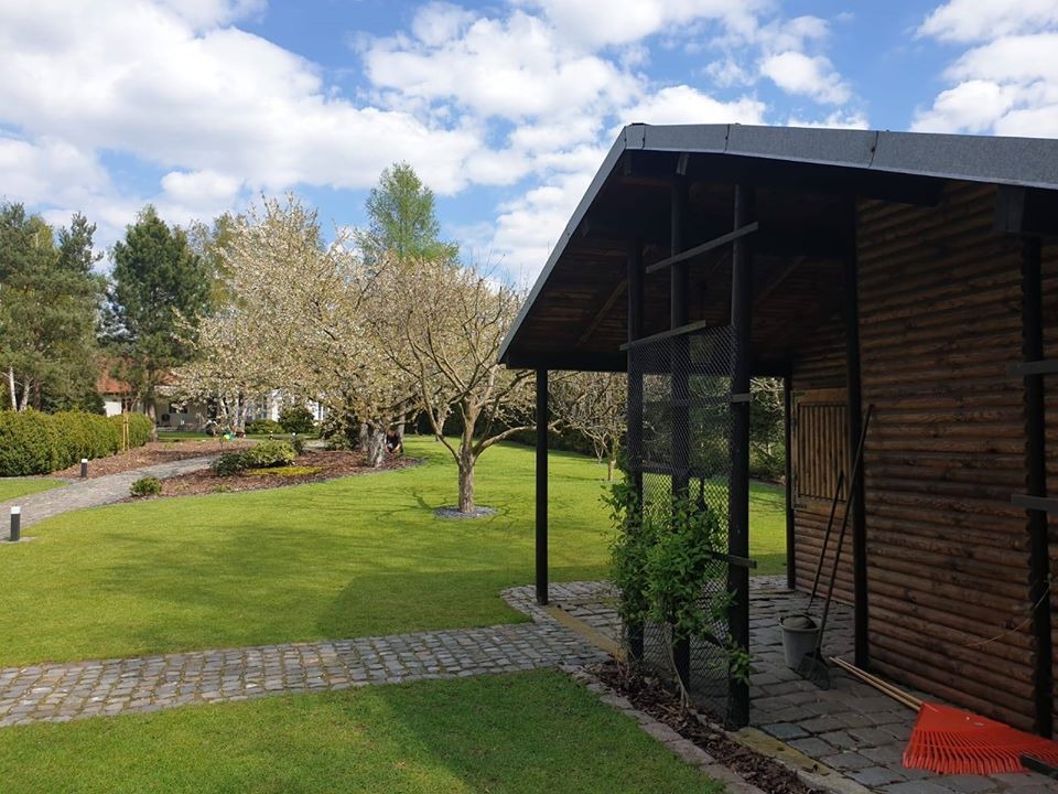 Widok na zadbany trawnik z kwitnącymi drzewami owocowymi, ścieżką z kostki brukowej i drewnianą altaną z elementami metalowymi, z narzędziami ogrodniczymi opartymi o ścianę.