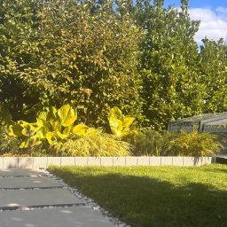 Ogród przy domu szeregowym - efekty po realizacji projektu