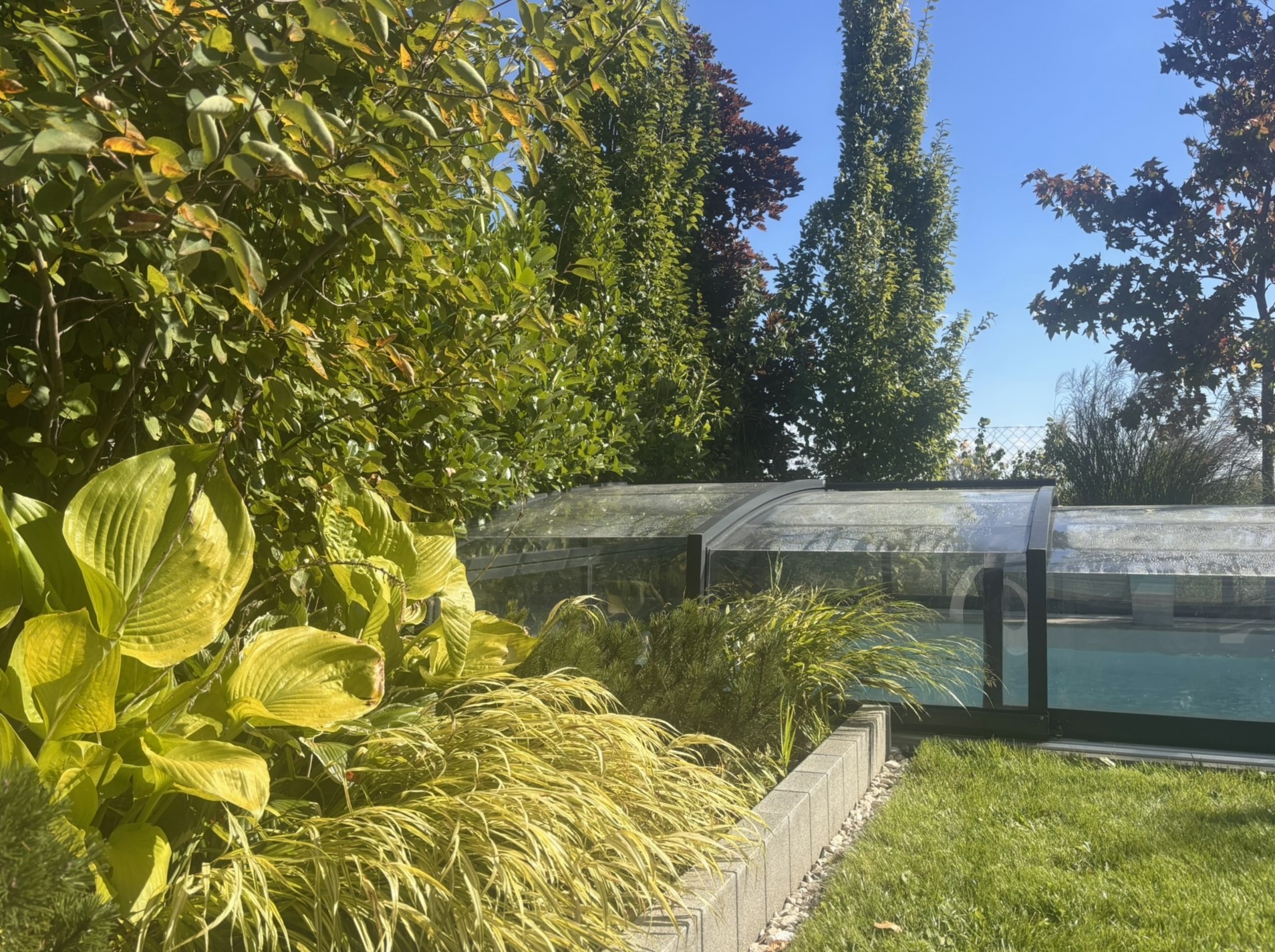 Ogród z roślinami ozdobnymi i zadaszeniem basenu w słoneczny dzień. Widoczne hosty, trawy ozdobne i wysokie drzewa. Krawężnik oddziela rabatę od trawnika.
