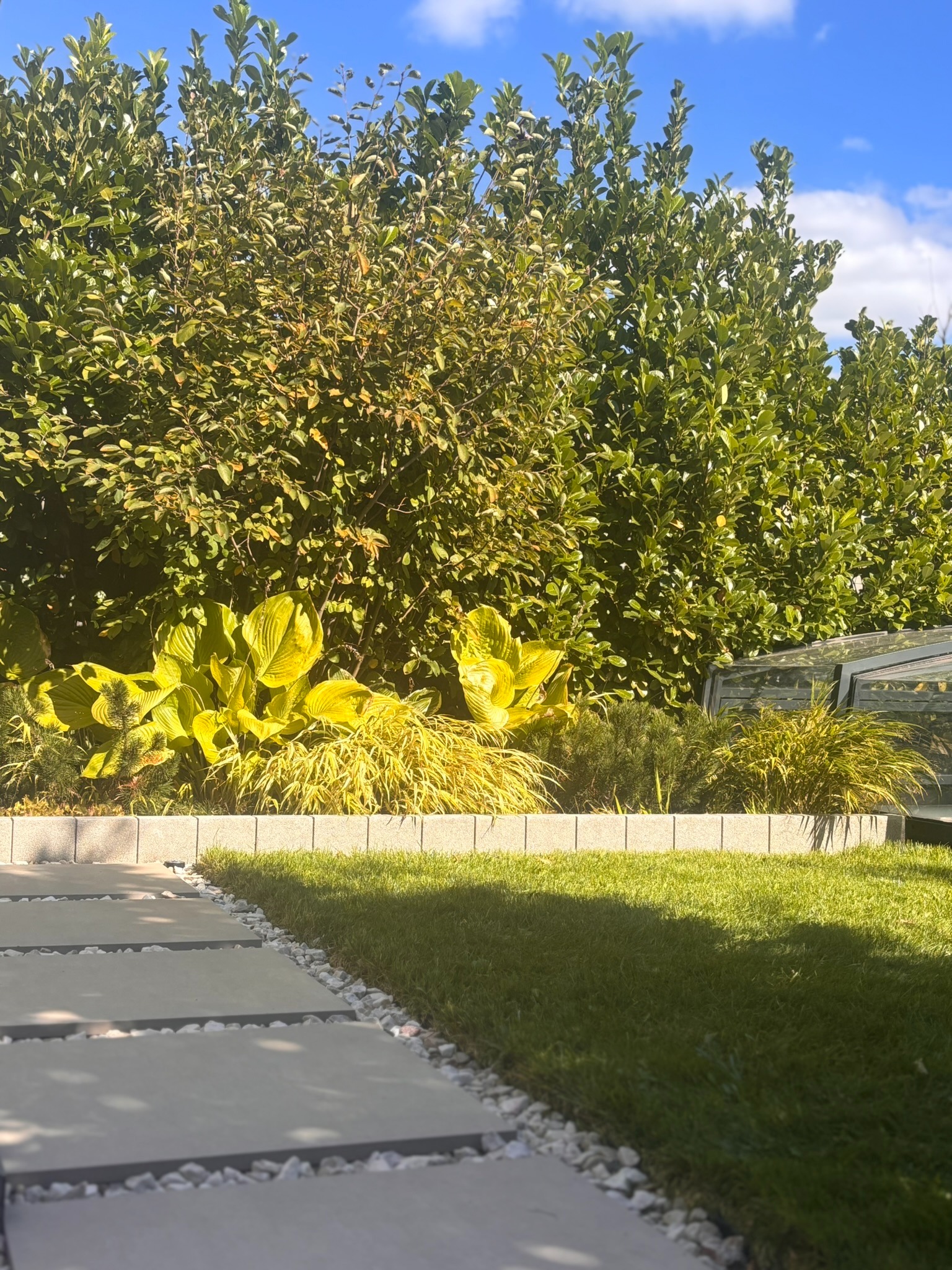 Ogród szeregowy po realizacji: ścieżka z płyt, trawnik, rabata z hostami i iglakami, żywopłot w tle, błękitne niebo. Słoneczny dzień, cień na trawie.