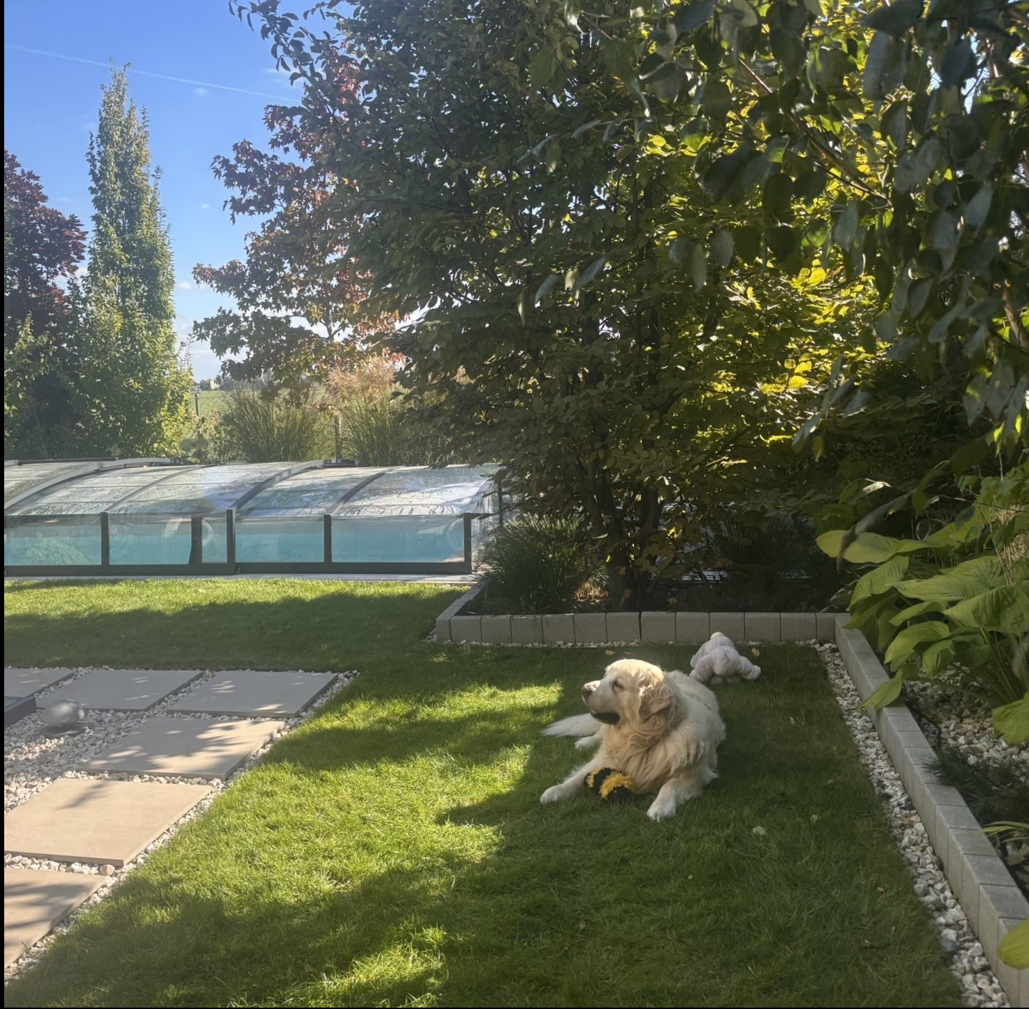 Ogród przy domu szeregowym - efekty po realizacji projektu