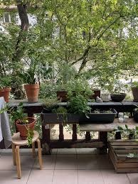 Zadaszony balkon z licznymi roślinami w donicach, skrzynkach i na półkach. Widok na zieleń drzew. Jasna podłoga i drewniane elementy. Dekoracyjny, przytulny kącik.