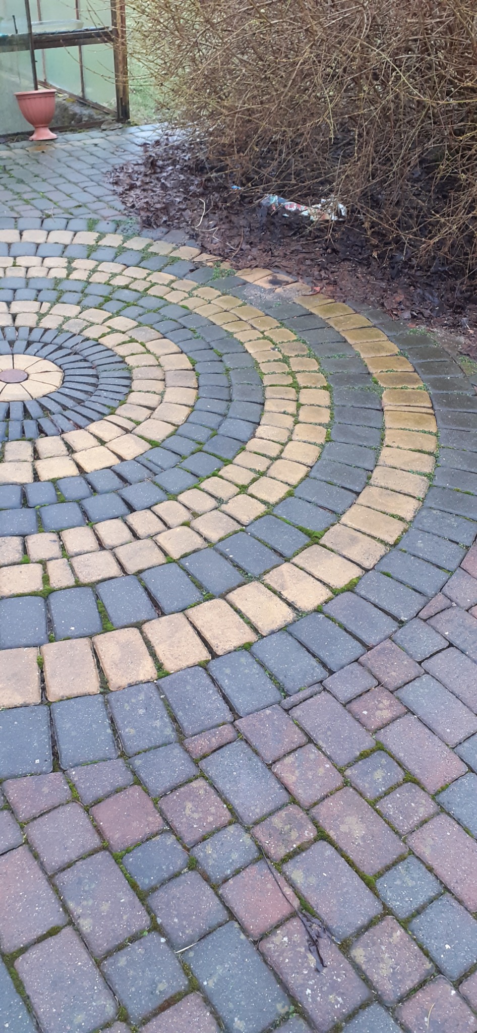 Kolorowa kostka brukowa ułożona w okrągły wzór, z widocznym mchem między fugami, sąsiadująca z ziemią i krzewami.