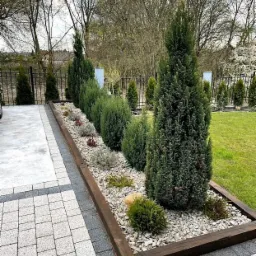 Ogródek z ozdobnymi iglakami i kamieniami oddzielony drewnianą obwódką od kostki brukowej, widok na zadbany trawnik i ogrodzenie.
