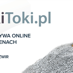Projekt banneru dla TokiToki.pl