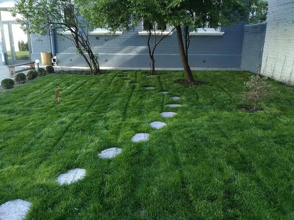 Świeżo założony trawnik z rolki, z nieregularną ścieżką z jasnych, płaskich kamieni, prowadzącą przez środek trawnika w kierunku budynku z szarej cegły i małymi drzewkami.