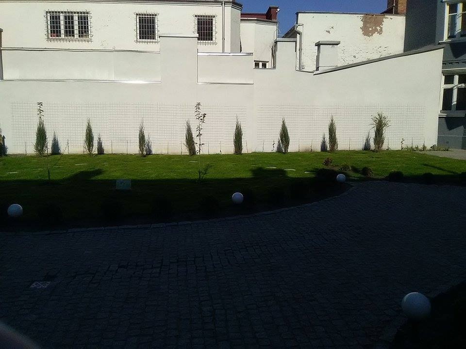 Młode tuje posadzone w rzędzie na trawniku przed budynkiem z kratami w oknach, oświetlone popołudniowym słońcem i ozdobione białymi kulami.